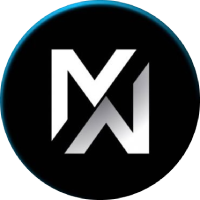 MetaWin logo